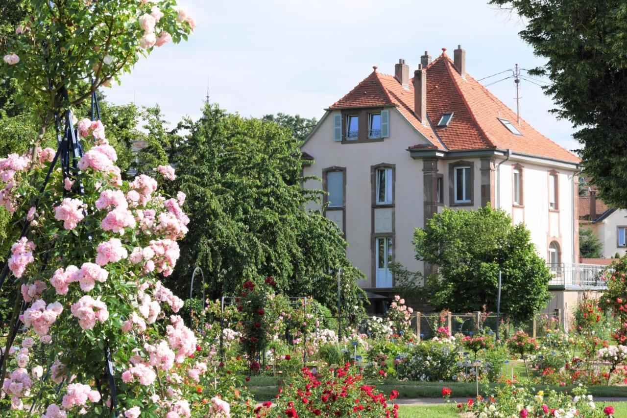 Le Jardin Des Roses Διαμέρισμα Σαβέρν Εξωτερικό φωτογραφία