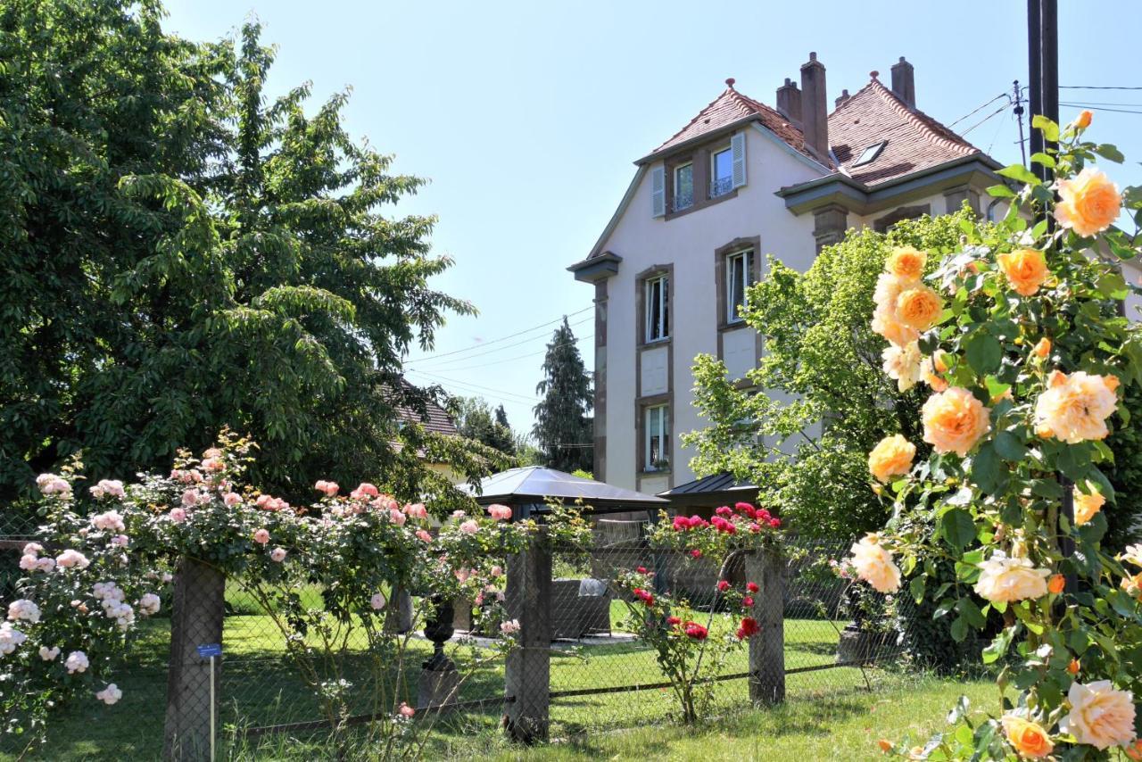Le Jardin Des Roses Διαμέρισμα Σαβέρν Εξωτερικό φωτογραφία