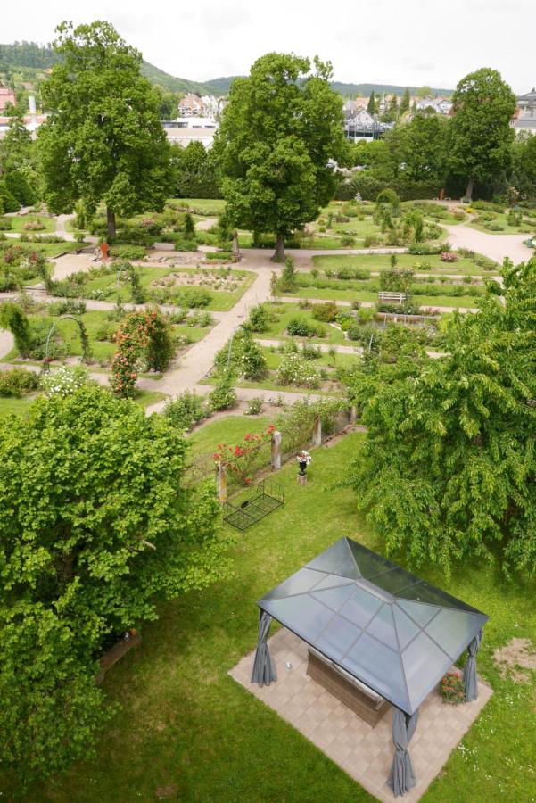 Le Jardin Des Roses Διαμέρισμα Σαβέρν Εξωτερικό φωτογραφία