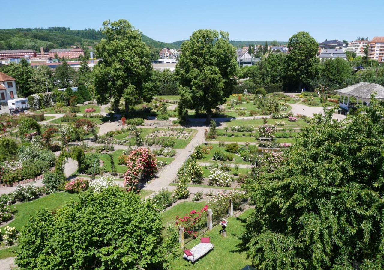 Le Jardin Des Roses Διαμέρισμα Σαβέρν Εξωτερικό φωτογραφία